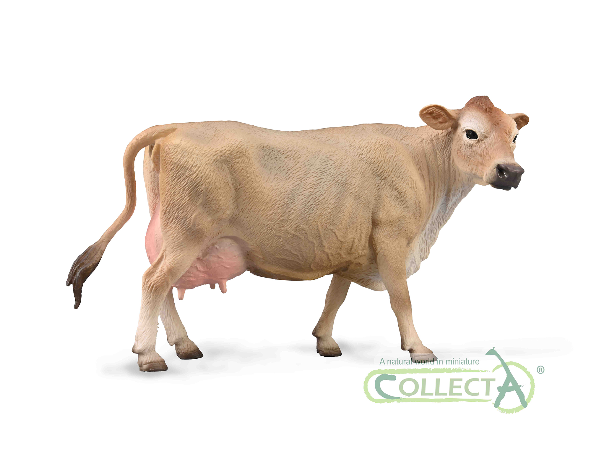 88980 Jersey Cow